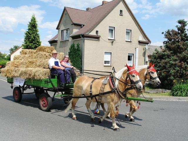 Seenlandfest